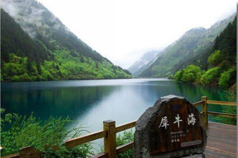 犀牛海